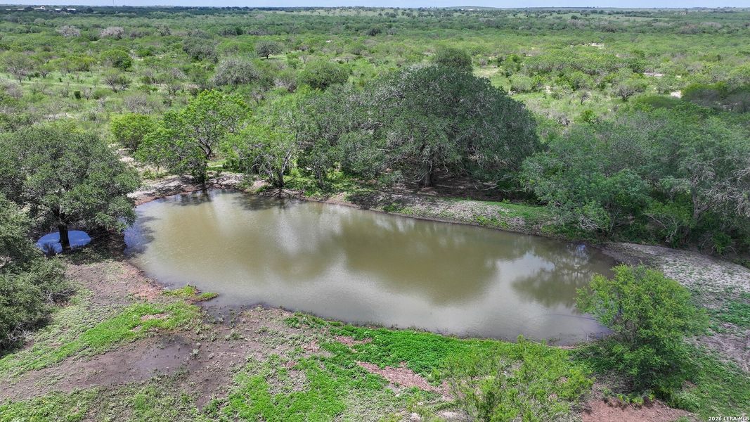 Natural landscape and outdoor views near in Kenedy (Image 19). Natural landscape and outdoor views near in Kenedy (Image 19).