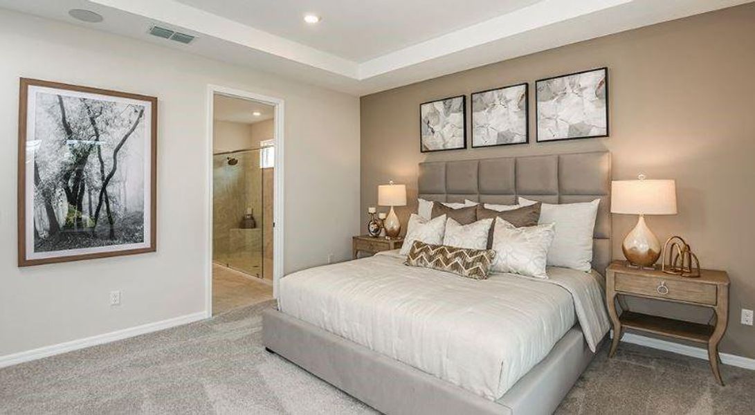 REPRESENTATIVE PHOTOS