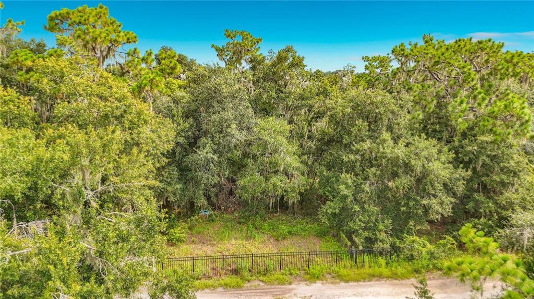 Natural landscape and outdoor views near  in Lithia (Image 33).