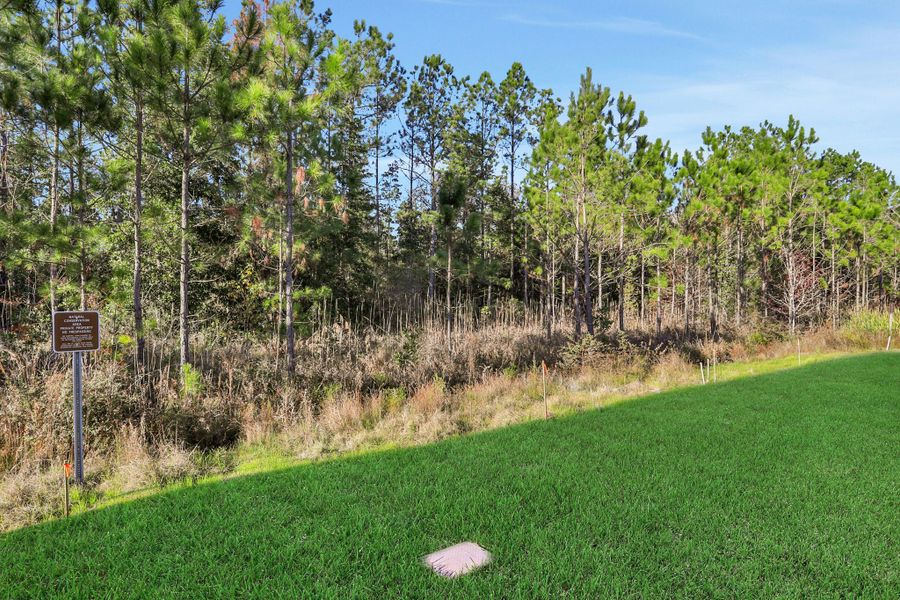 3br New Home in Middleburg, FL.  - Slide 6