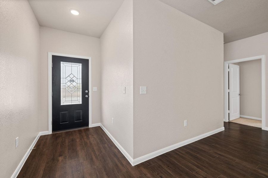 Foyer with dark wood-type flooring