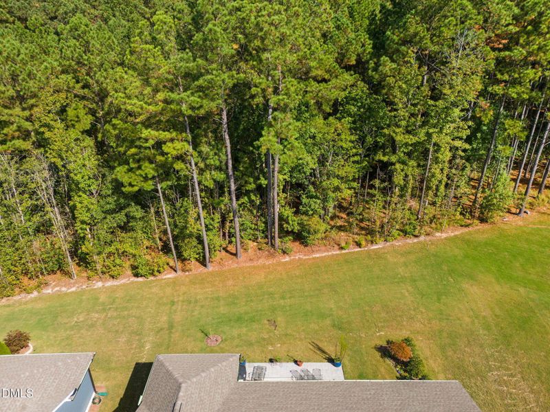 1913 Bigleaf Maple Run 1913 Bigleaf Maple Run