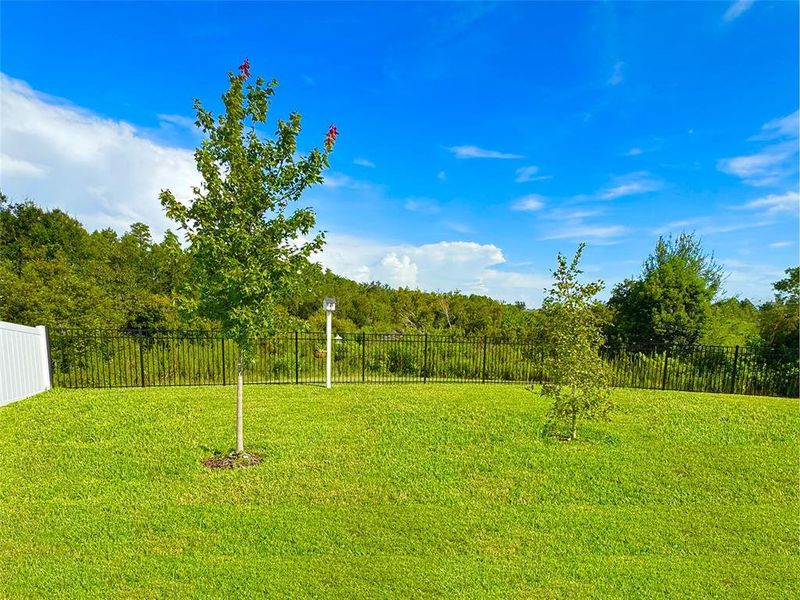 Natural landscape and outdoor views near in Wesley Chapel (Image 28). Natural landscape and outdoor views near in Wesley Chapel (Image 28).