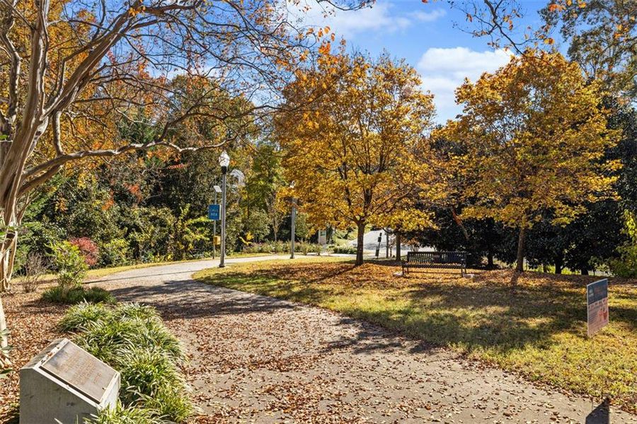 Natural landscape and outdoor views near  in Atlanta (Image 20).
