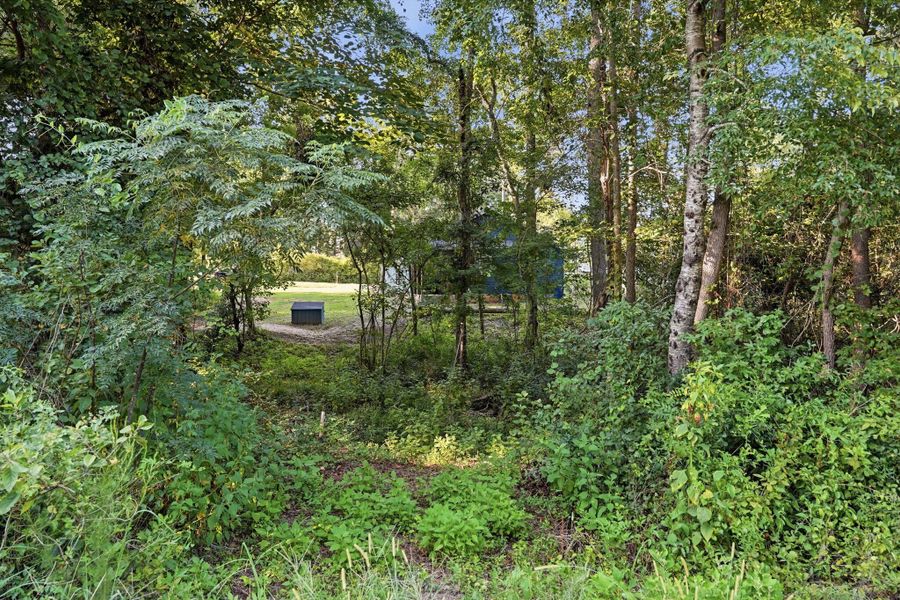 Natural landscape and outdoor views near  in St. Matthews (Image 32).