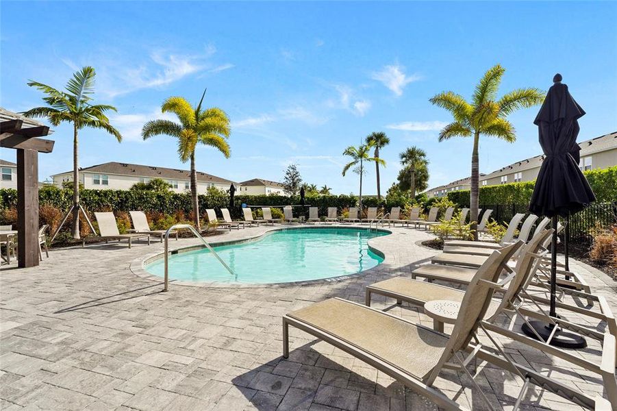 Community amenities in , Sarasota (Image 42). Community amenities in , Sarasota (Image 42).