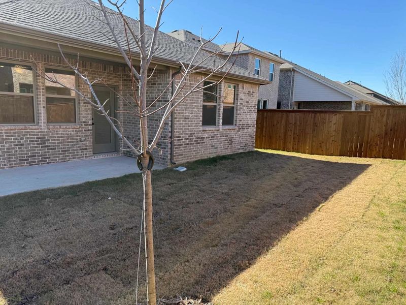 Rear Exterior Design Construction Progress Rear Exterior Design Construction Progress