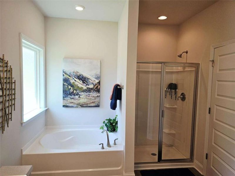 Furnished interior view inside a new home in Scarlett Place, Bowdon (Image 11).