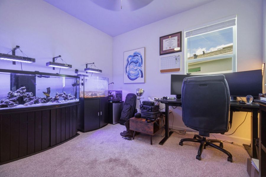 25-web-or-mls-IMG_1079