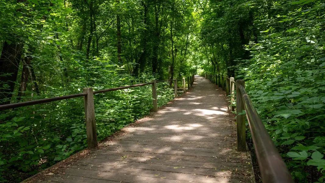 Natural landscape and outdoor views near Mableton Station in Mableton (Image 25). Natural landscape and outdoor views near Mableton Station in Mableton (Image 25).