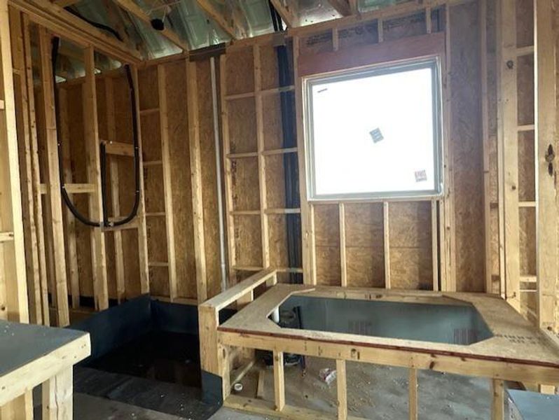 PRIMARY BATHROOM SHOWER AND GARDEN TUB