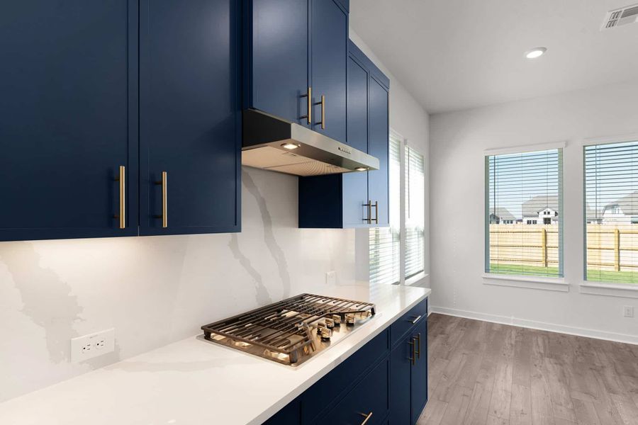 Image 98 of a home in Lariat.