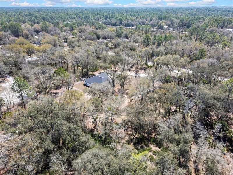 Natural landscape and outdoor views near  in Crystal River (Image 49).