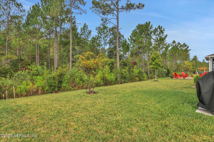 Natural landscape and outdoor views near Tributary: Lakeview at Tributary 50's in Yulee (Image 35).