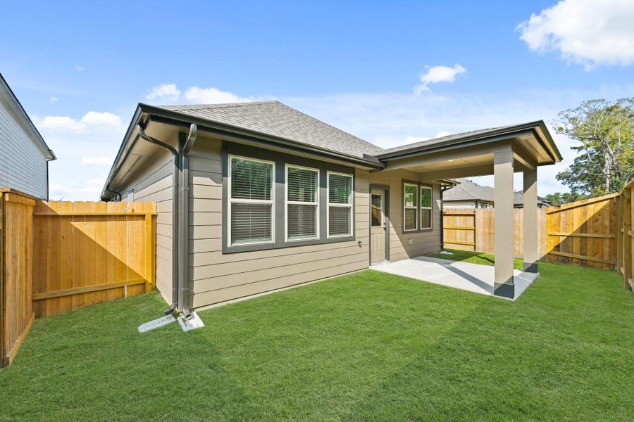 Amazing backyard Amazing backyard