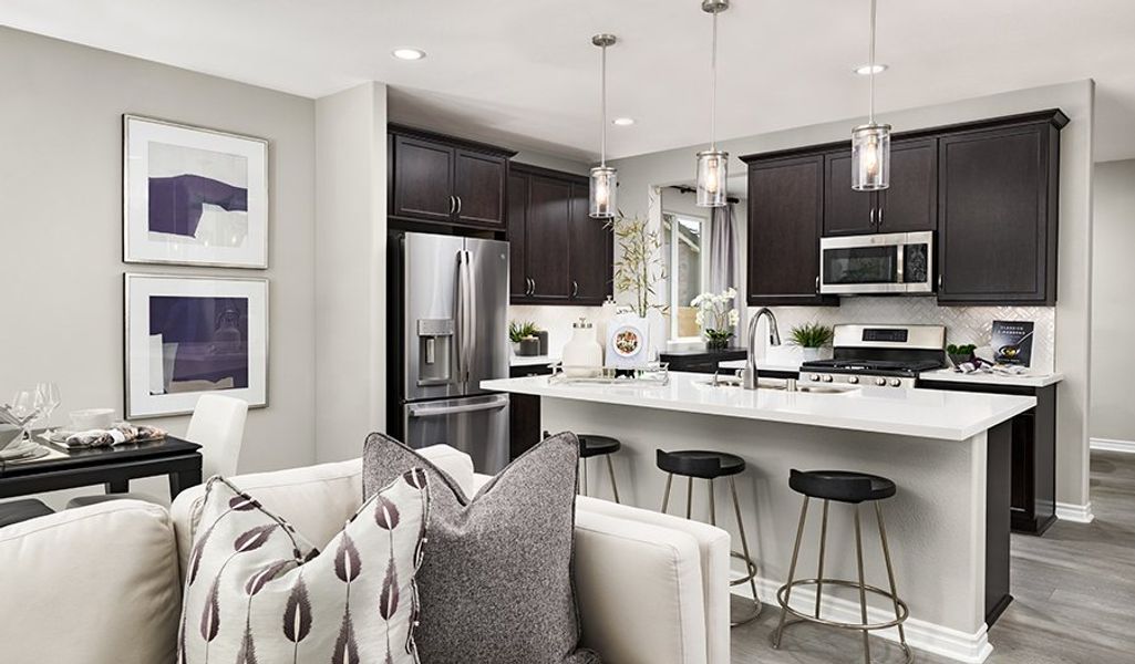 Amethyst-S901-SeasonsRanchAtBraverde Kitchen