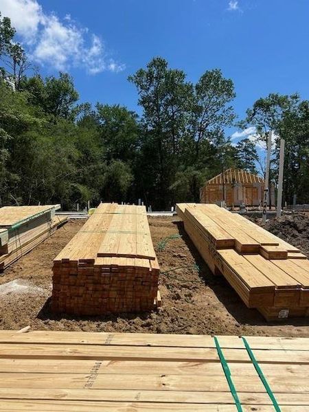 Image 29 of a home in The Woodlands Hills.