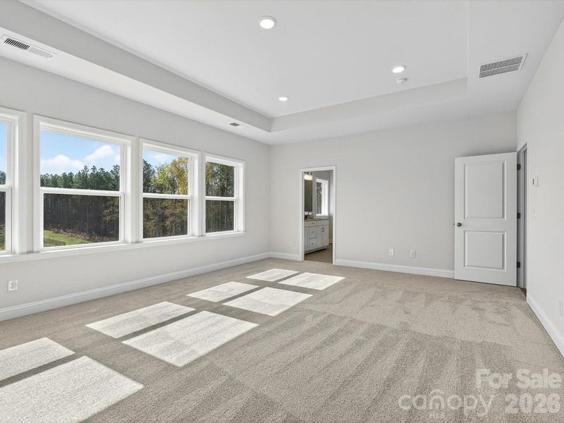 Abundance of Natural Light and Tray Ceiling