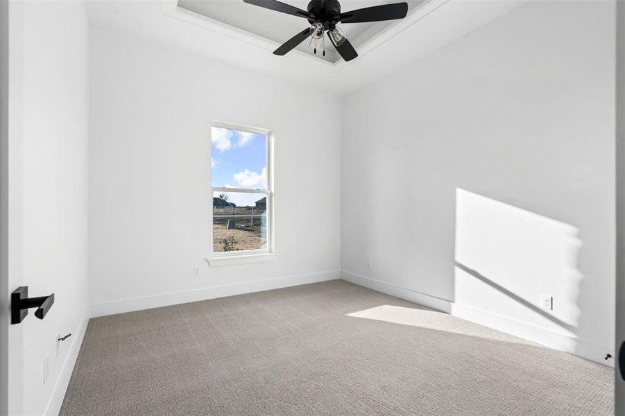 Spare room featuring ceiling fan, a tray ceiling, and light carpet