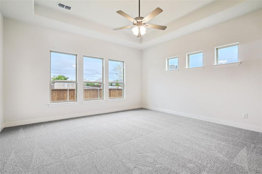 Spare room with a raised ceiling, carpet, ceiling fan, and plenty of natural light