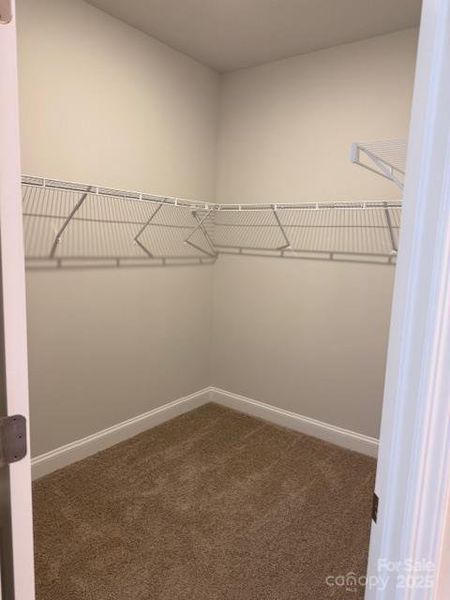 Spacious, unfurnished interior of a new home in , Mount Ulla (Image 12). Spacious, unfurnished interior of a new home in , Mount Ulla (Image 12).