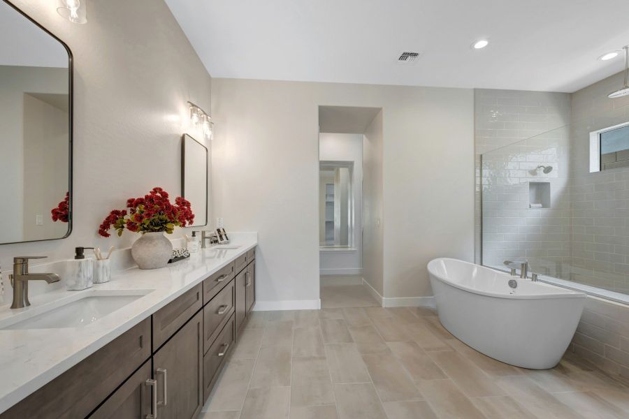 Owner's Bath