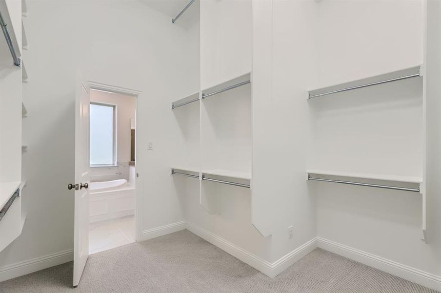 Spacious closet with light carpet