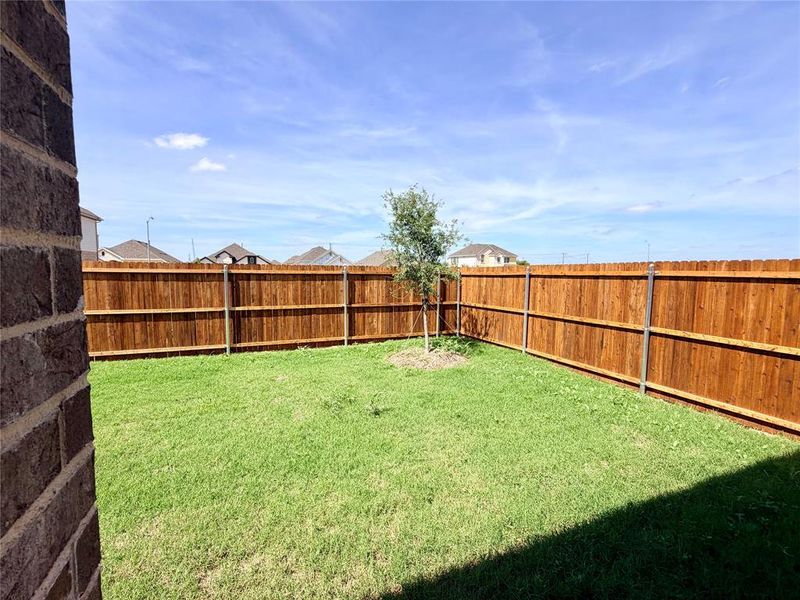 Private backyard featuring new wood fencing and a young tree
