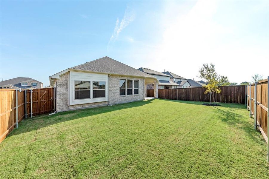 23_3513 Honeysuckle, Melissa 23_3513 Honeysuckle, Melissa