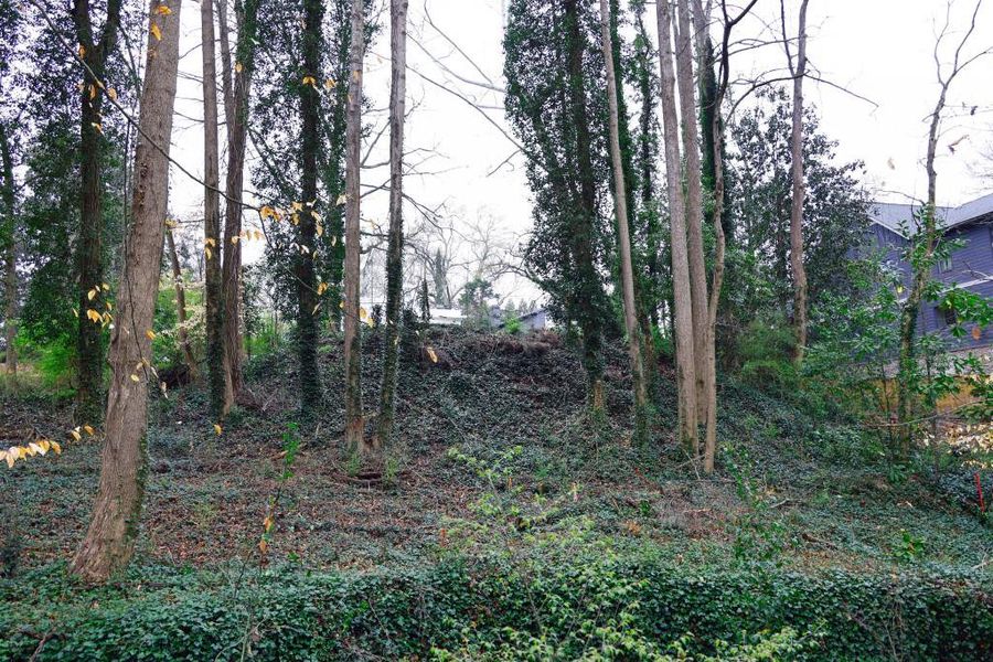 Natural landscape and outdoor views near  in Brookhaven (Image 5).