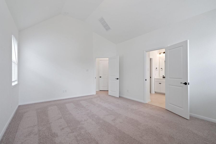 representative photo