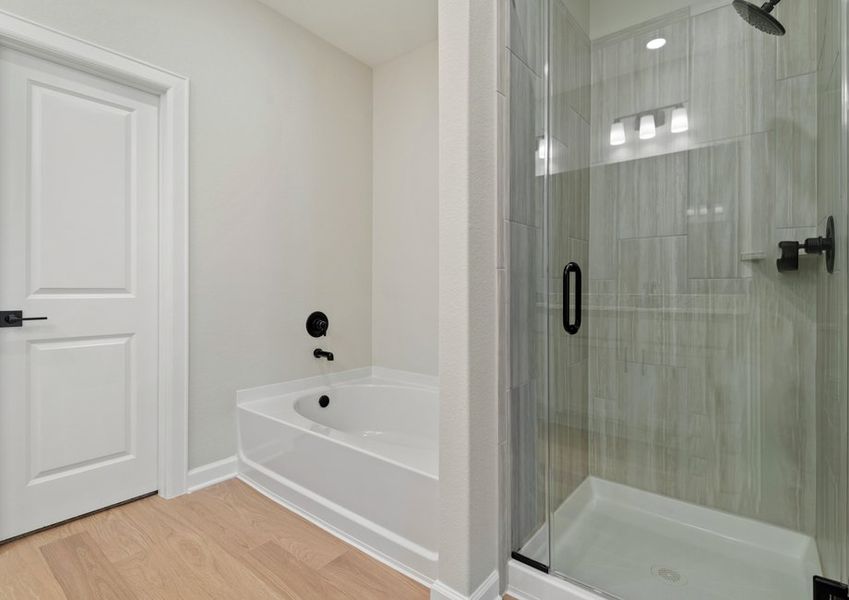 Step-in shower in master bathroom