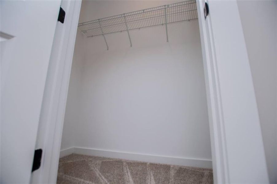 Spacious, unfurnished interior of a new home in , Bowdon (Image 42). Spacious, unfurnished interior of a new home in , Bowdon (Image 42).