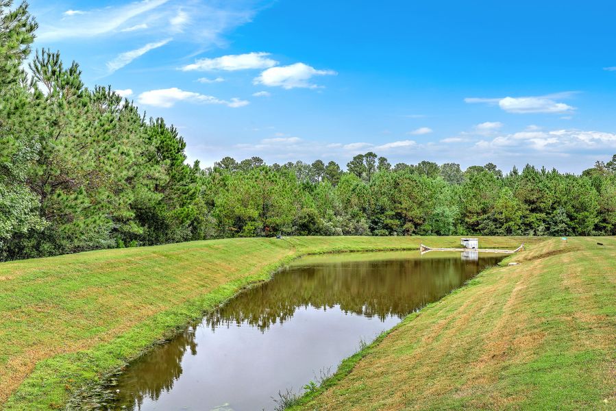 Natural landscape and outdoor views near  in Goose Creek (Image 24).