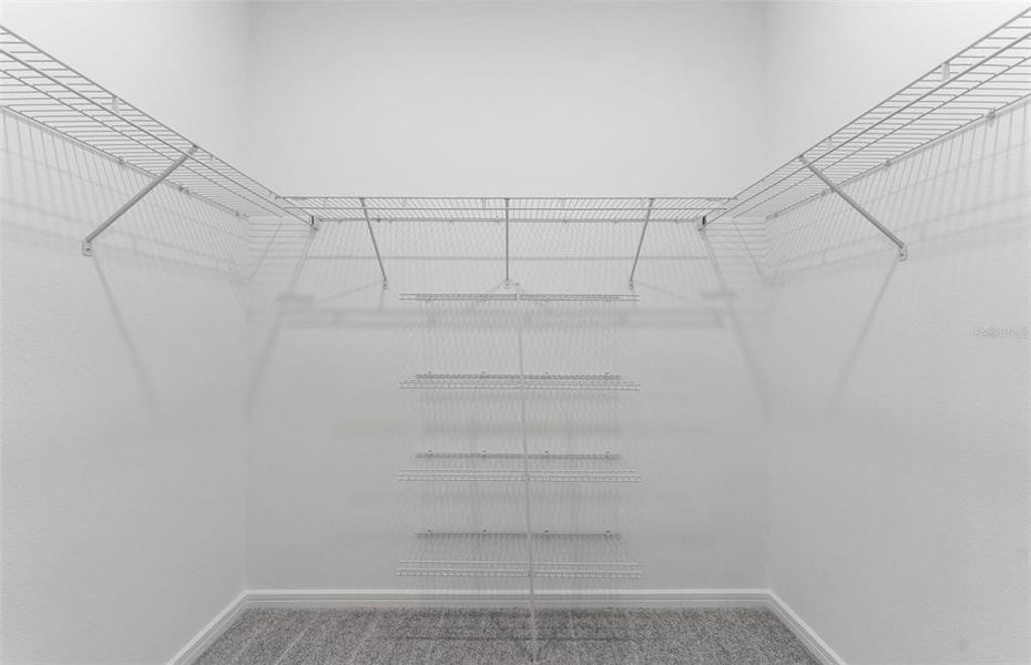 Model Representation