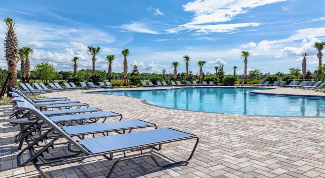 Community amenities in Palm Wind, Hudson (Image 20).