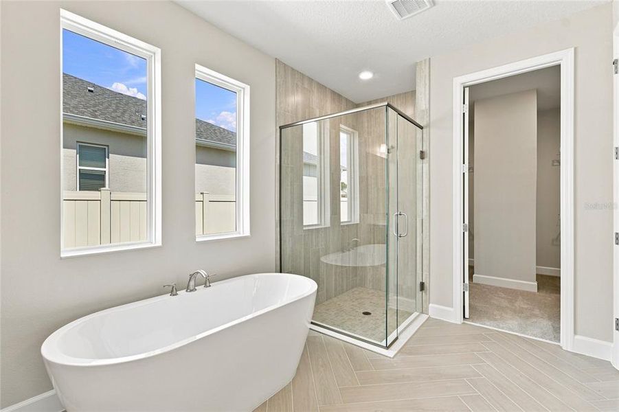 Furnished interior view inside a new home in Willow Run, Apopka (Image 8).
