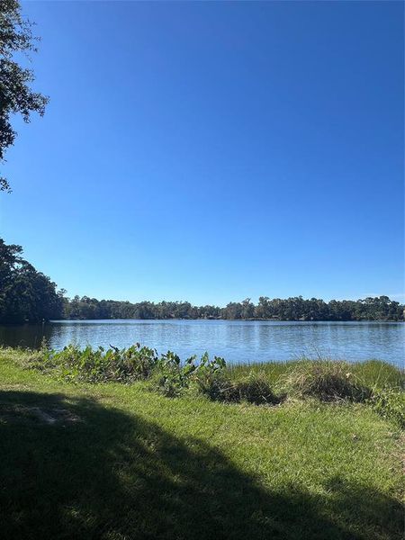 Stocked lake in the back of the neigbhorhood.