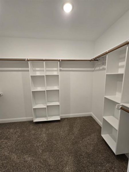 Spacious closet with carpet flooring