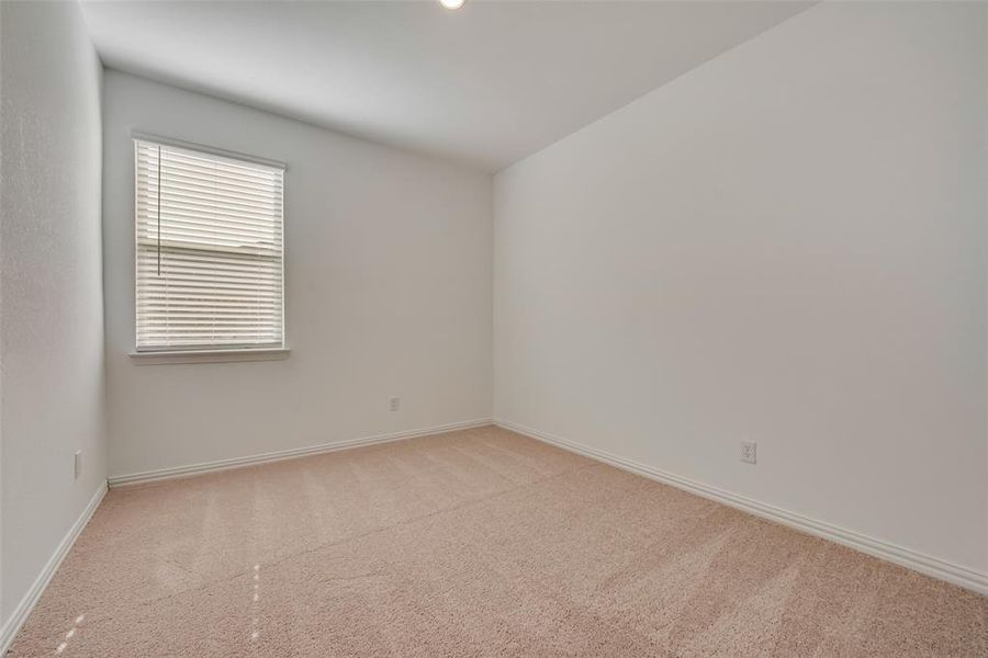 Empty room with carpet