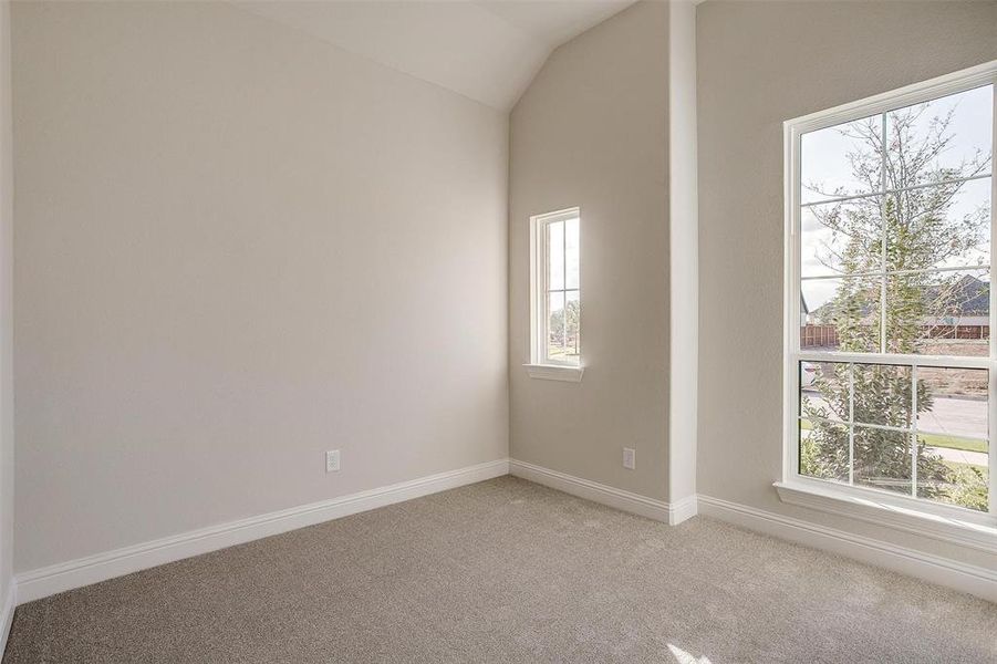 Carpeted empty room with lofted ceiling and a wealth of natural light