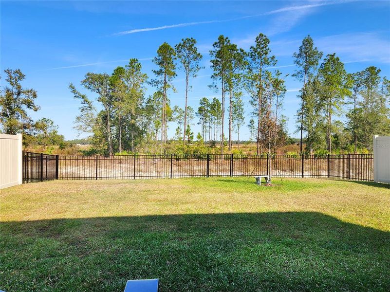 Exterior details and patio area of a home in Two Rivers, Zephyrhills (Image 29). Exterior details and patio area of a home in Two Rivers, Zephyrhills (Image 29).