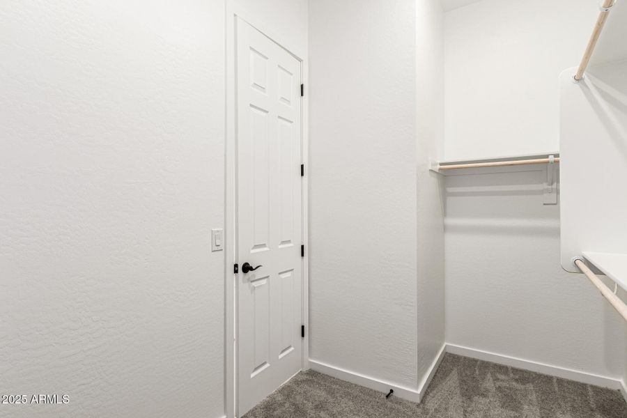 20-Hollyhock 20-Hollyhock