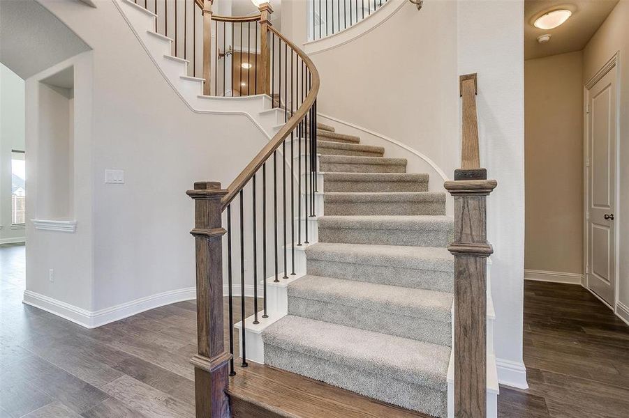 Staircase featuring hardwood / wood-style flooring