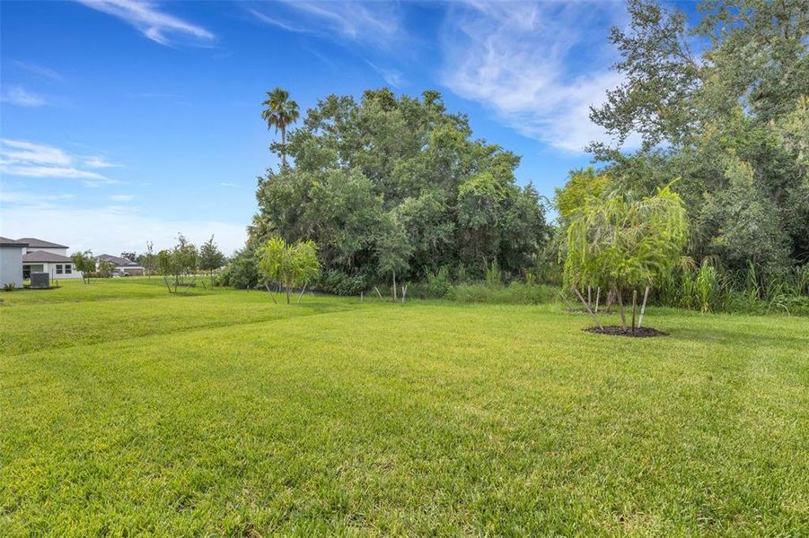 Natural landscape and outdoor views near Southpointe in Palmetto (Image 49).