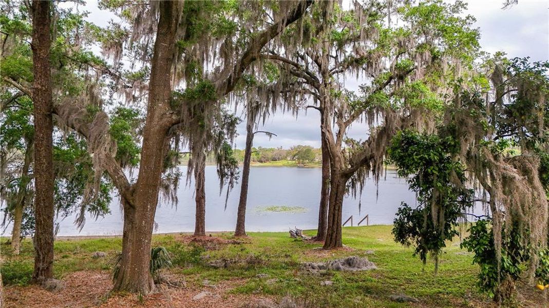 Natural landscape and outdoor views near  in Umatilla (Image 47).