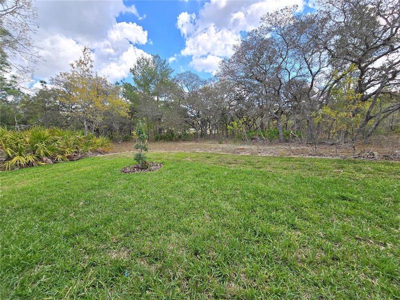 Natural landscape and outdoor views near  in Homosassa (Image 84).