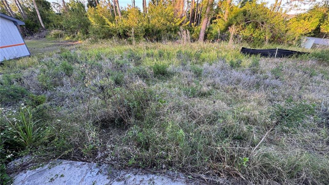 Natural landscape and outdoor views near  in Port Charlotte (Image 41).