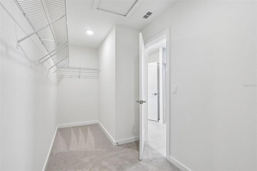 Spacious, unfurnished interior of a new home in Grasslands West, Lakeland (Image 22).