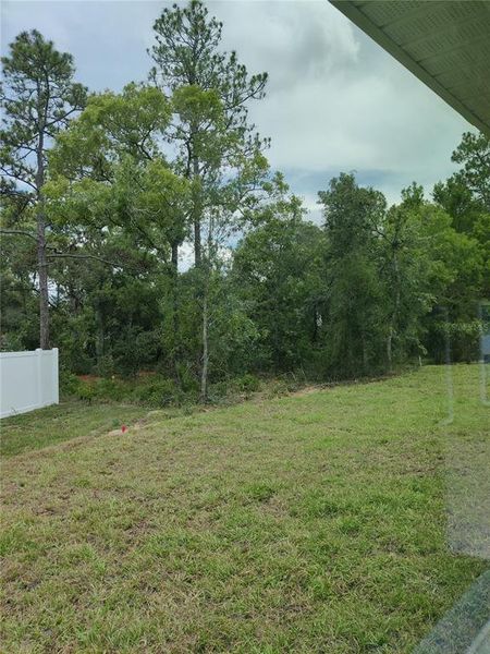 Natural landscape and outdoor views near Sugarmill Woods in Homosassa (Image 25). Natural landscape and outdoor views near Sugarmill Woods in Homosassa (Image 25).